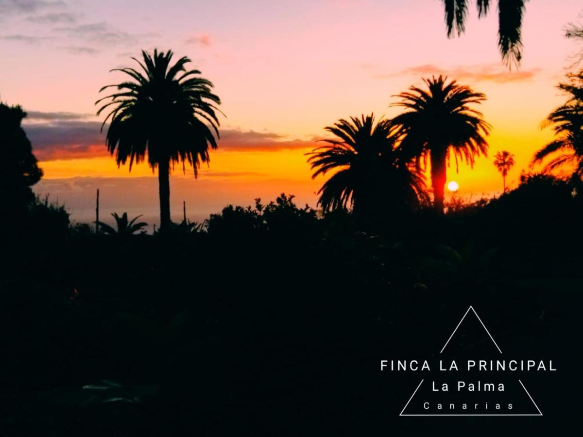 Finca La Principal Breña Alta Eksteriør bilde